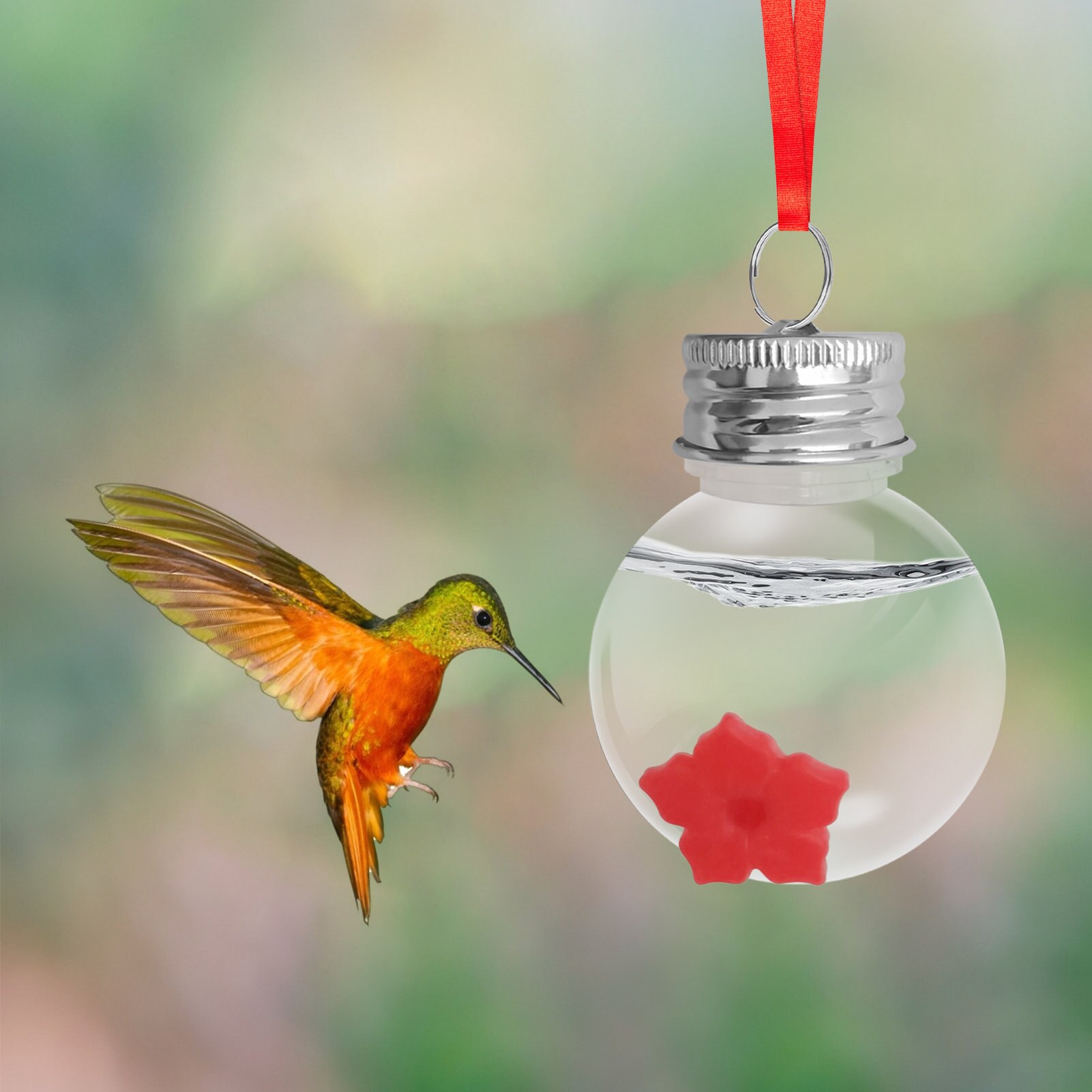 Hummingbird Mini Feeder Hummingbird Water Hangings Feeder Bird Feeders Garden Decor Hummingbird Feeding Tools Mini Feeding Tools