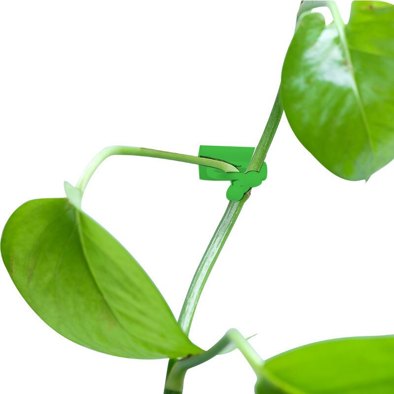 10pcs/set Invisible Wall Vines Fixture Wall Sticky Hook Climbing Vine Plant Fixer Home Balcony Garden Decoration Holder