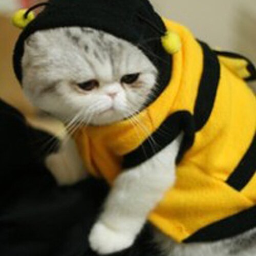 Kæledyr hættetrøje tøj sød fancy hvalp beklædning kostume kat frakke outfit bi stil