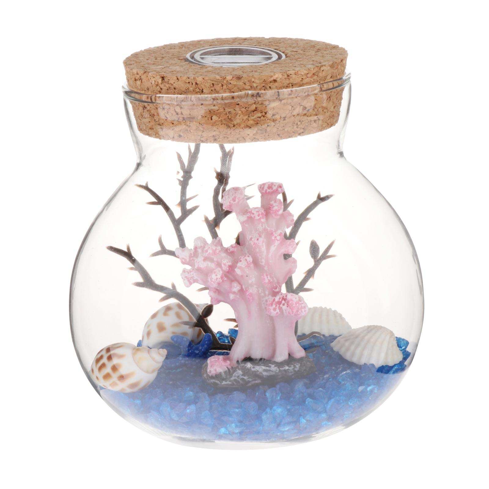 Glass Terrarium Container Multiple Choices Planter Jars with Wood Base &amp; Lid Plant Terrarium Bowl Vase with Fairy Lights: Blue sand coral