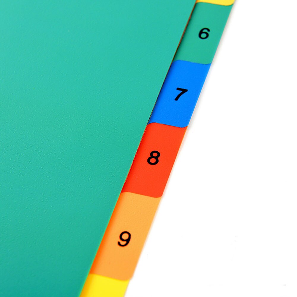 5 Sets A4 Size Plastic Binder Index Dividers whih 12 Tabs for Home School Office Library Workplace Business Supplies