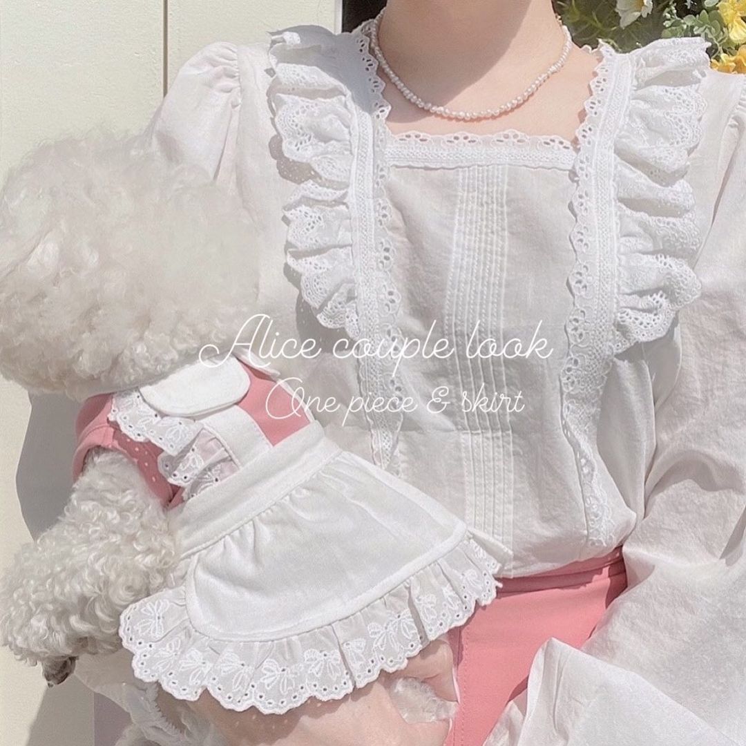 Haustier Hund Kleidung Rosa Blau Dienstmädchen Spitze Kleid mit Gleichen Stil Haarnadel Für Kleine Hund, Chihuahua,Yorkshire, malteser, Haustier Liefert Perros