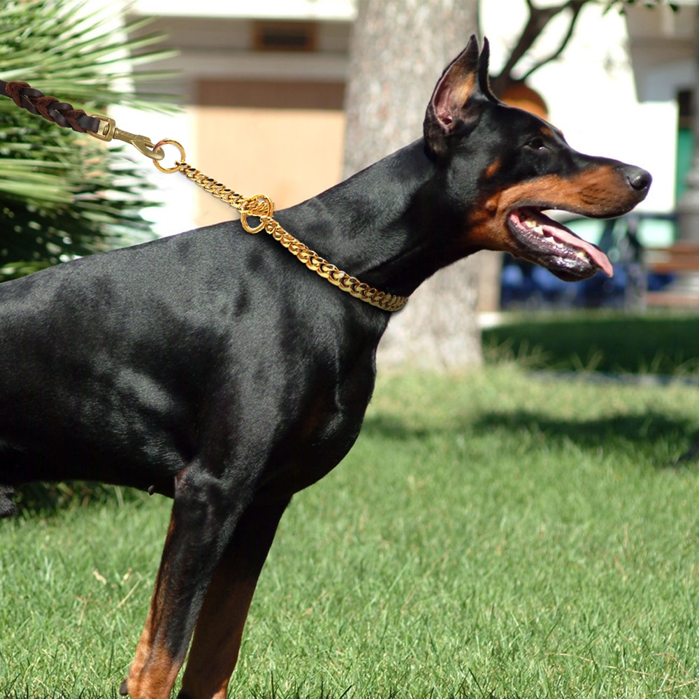 4mm Metalen Hond Ketting Kraag Rvs Training Choke Anti Halsbanden Voor Medium Grote Honden Pitbull Pug bulldog Goud – Grandado