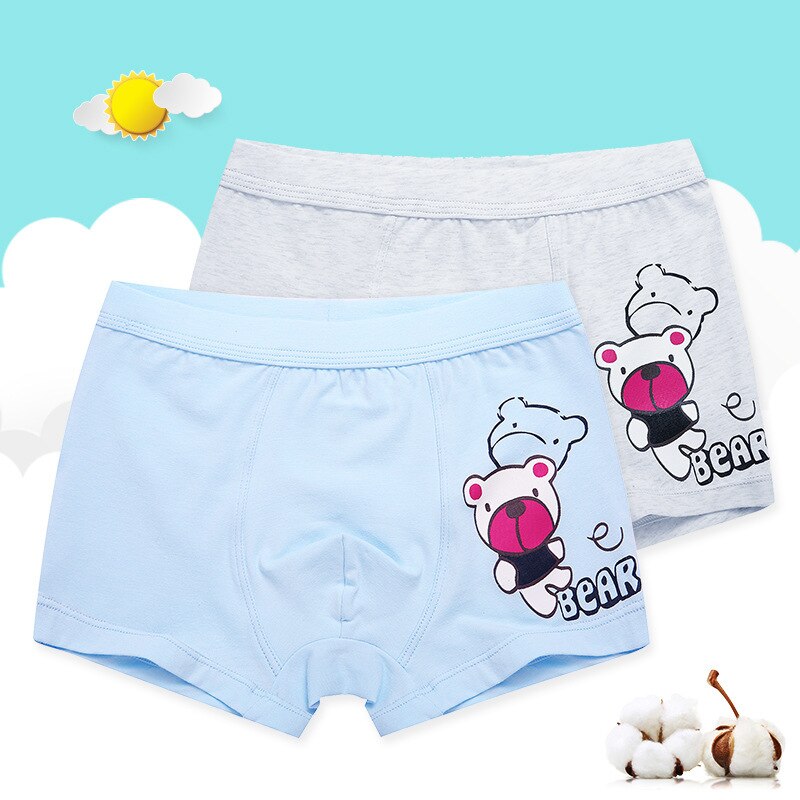 HANQIYAHULI 2 Pcs/lot Cartoon Bear Kids Boy Underwear For Baby Children's Underpants Briefs Boys Underware Pants For 3-14 Y