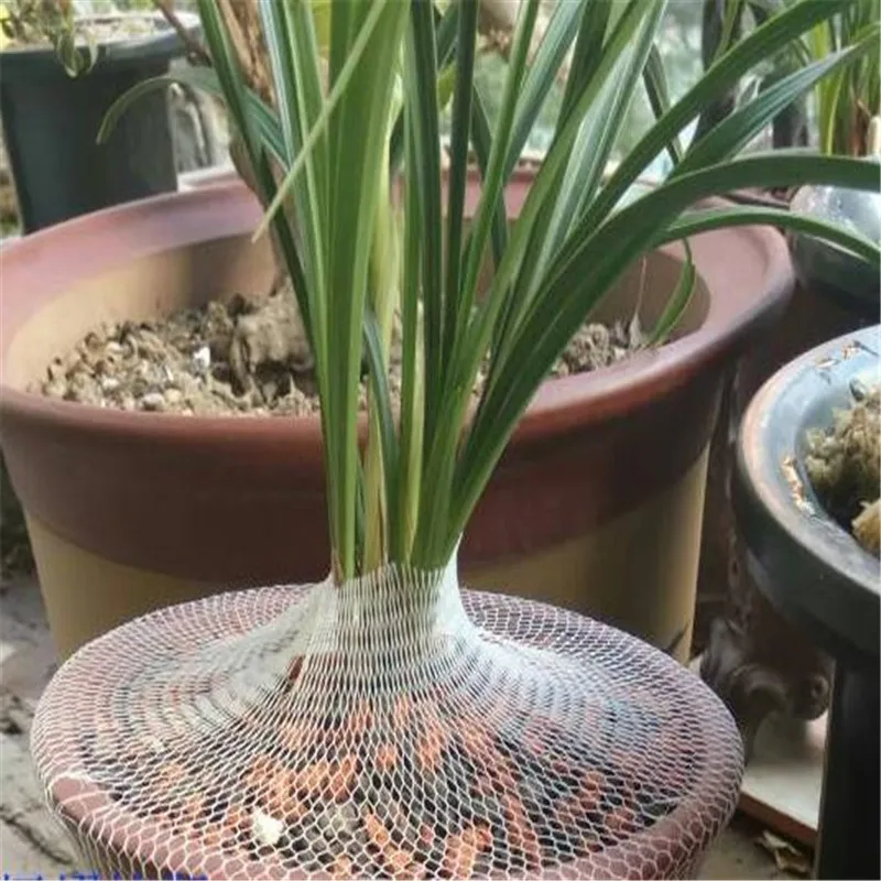 Rete anti-gatto per vasi da fiori da 5 m di lunghezza Rete da giardinaggio Custodia protettiva per vasi da fiori Copertura protettiva per piante Copertura in rete di nylon bianco