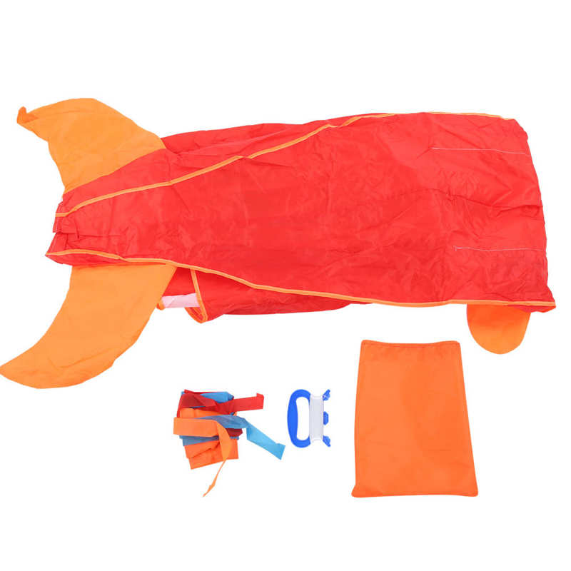 Water Ballon Speelgoed Voor Kinderen Dolfijn Kite Polyester Kinderen Cartoon Dier Zachte Parafoil Outdoor Plezier Speelgoed Grappig: Blue dolphin