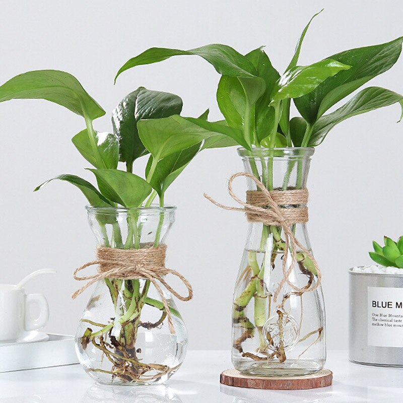 Hydrocultuur Planten Vazen Droge Bloem Vaas Accessoires Nordic Diy Valentijnsdag Bloem Touw Transparante Glazen Vazen