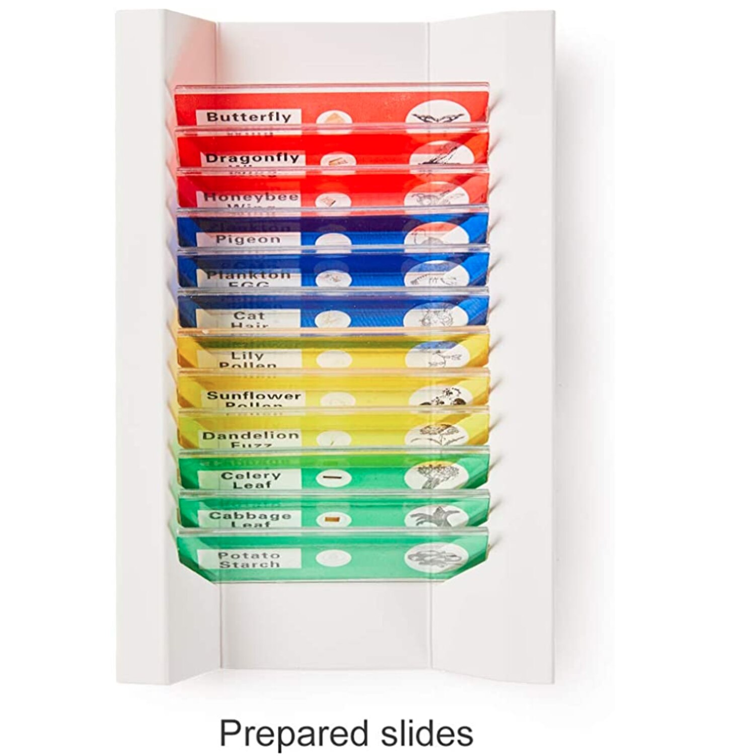 TinyScope 20PS Digital Microscope Camera Lens ki12PCS Slides for biological observation t Better observation experience For Kids