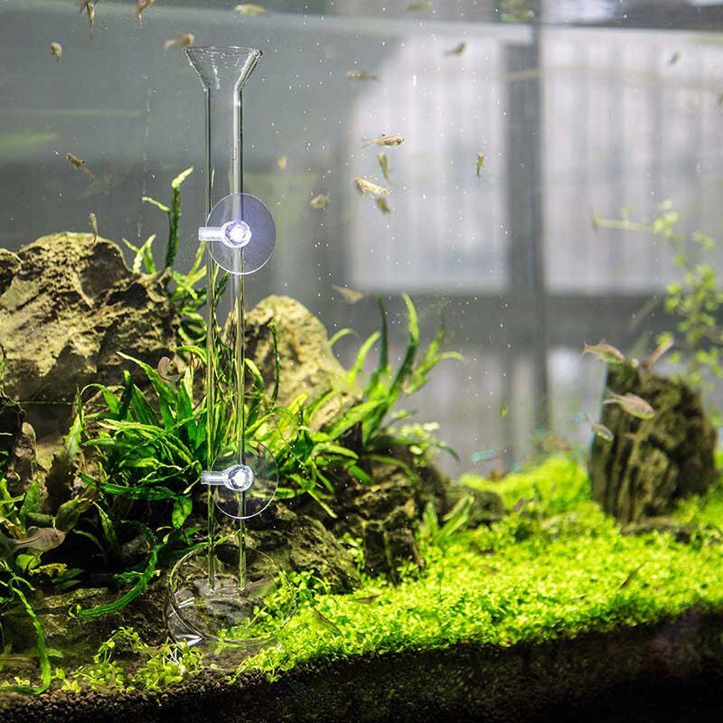 Akvarium glas matare genomskinlig tub skål fisk räkor matning mat med 2 st sugkoppar säker