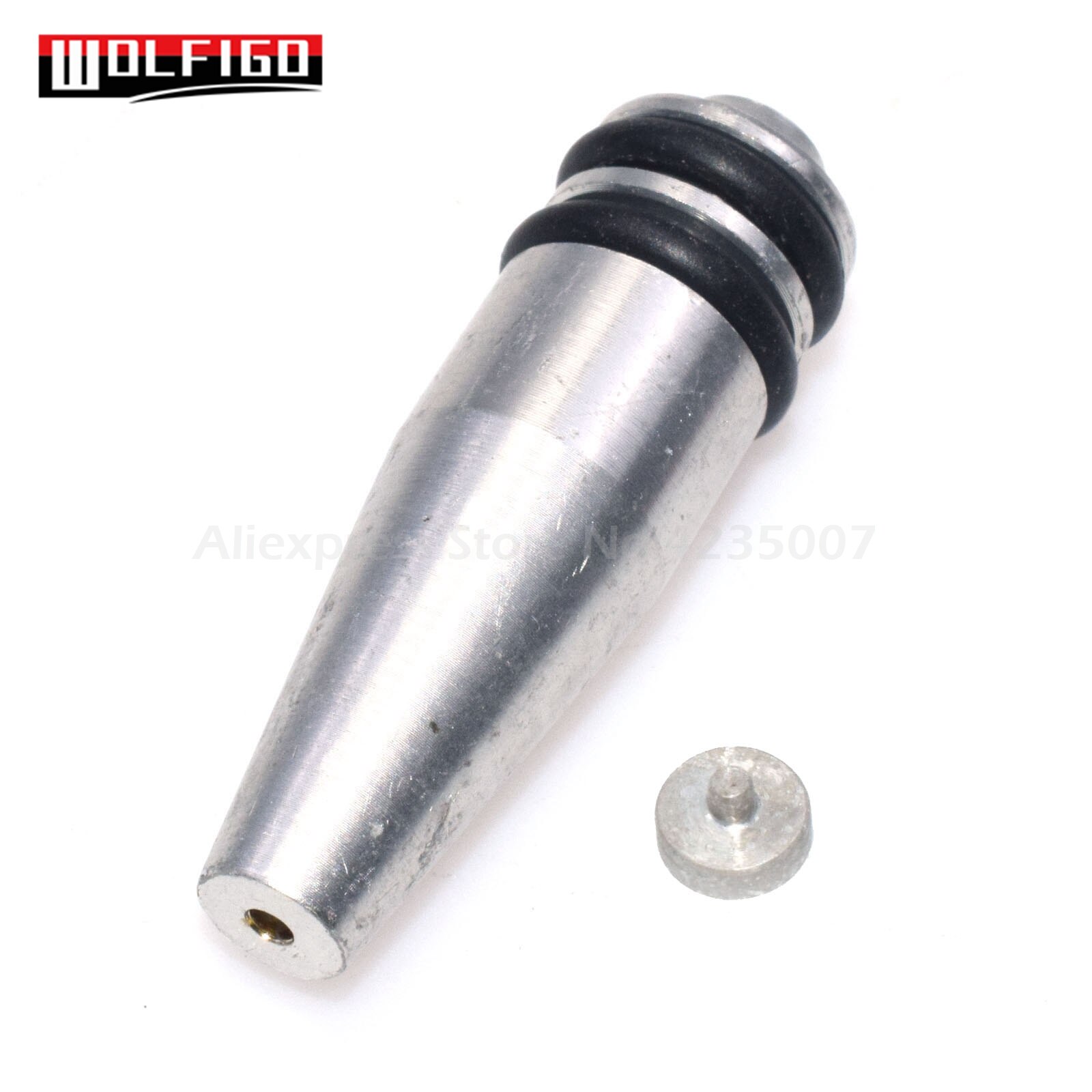 Wolfigo Voor Bmw N47 Intake Swirl Flap Verwijderen Leeg Plug Bung Metalen En Spruitstuk Pakkingen 11617801438, 11614728712,11618507239: 1 PC Flap