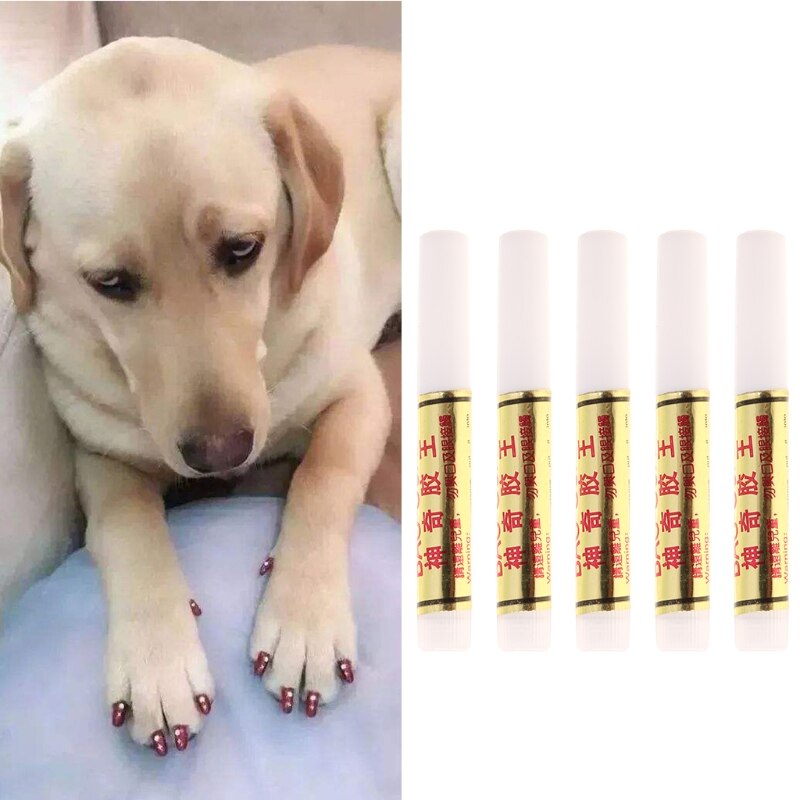 5 uds., Fundas protectoras para uñas para perros y gatos, tapas de garras de garra, pegamento adhesivo en Gel