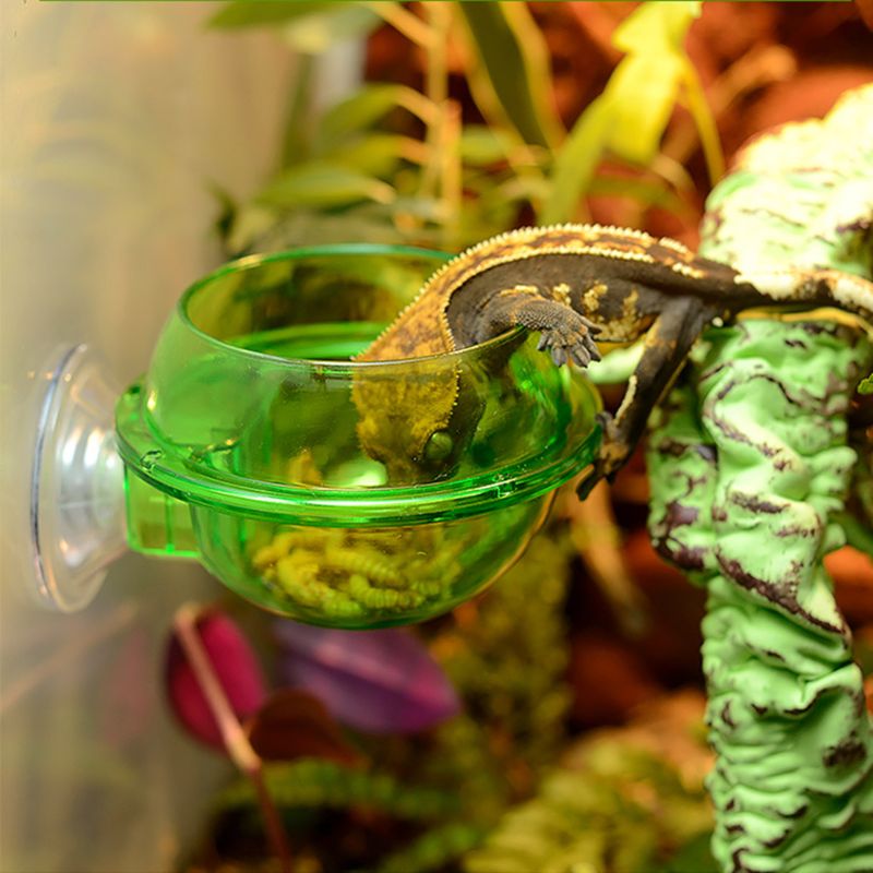 Reptile Anti-escape Food Bowl Cup Turtle Lizard Worm Live Food Container Sucker Feeder