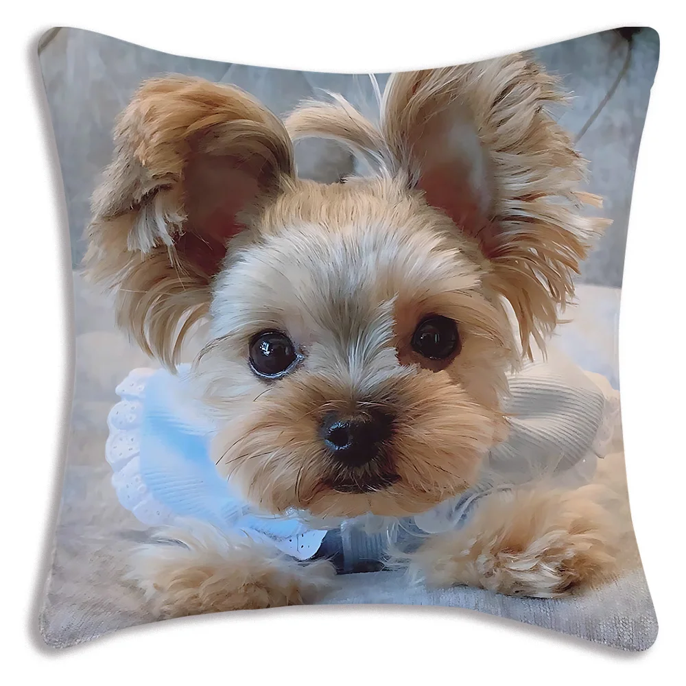 Fodere per cuscini per cani carini Divano dei cartoni animati Federa decorativa per la casa Stampa Fodera per cuscino carina