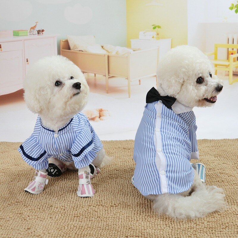 Ropa de Perro, estilo británico, traje de pareja Para perros, camisas a rayas, Bowknot, cachorro pequeño, primavera Otoño, Ropa azul de dos patas Para Perro