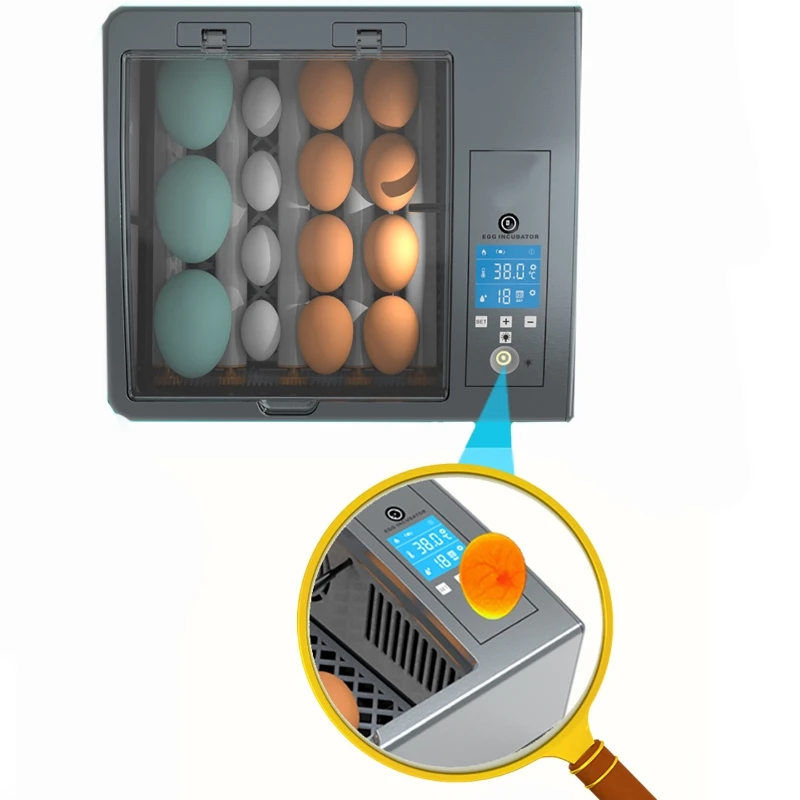 220V Eieren Incubator Broedmachine Automatische Boerderij Incubatie Gereedschap Vogel Kwartel Kuiken Broederij Gevogelte Hatcher Turner 6-16 Ei Incubator