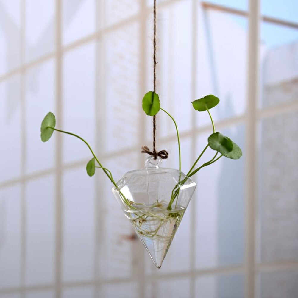 Hängande glas blommor växt vas flaska terrarium behållare hem trädgård dekorer diy transparent