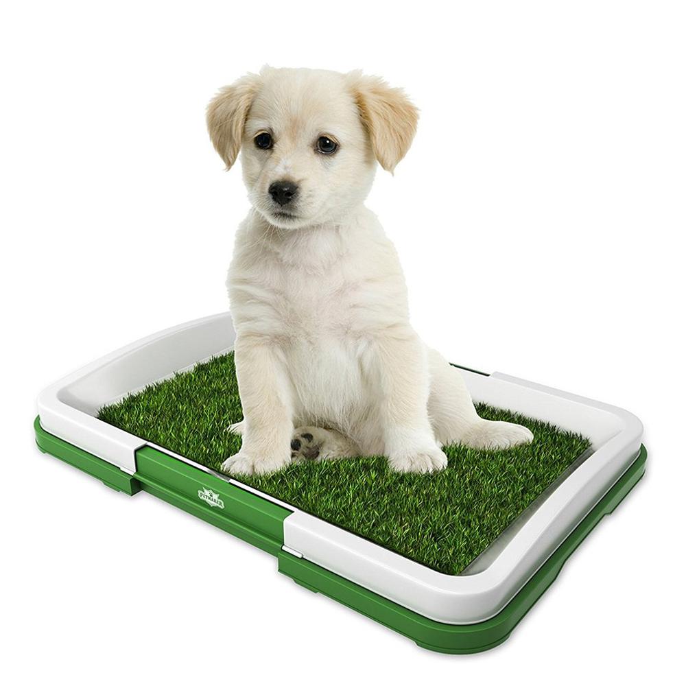 Chien toilette chiot chien pot plateau intérieur litière boîtes facile à nettoyer produit pour animaux de compagnie formation toilette fournitures pour animaux de compagnie intérieur utilisation extérieure