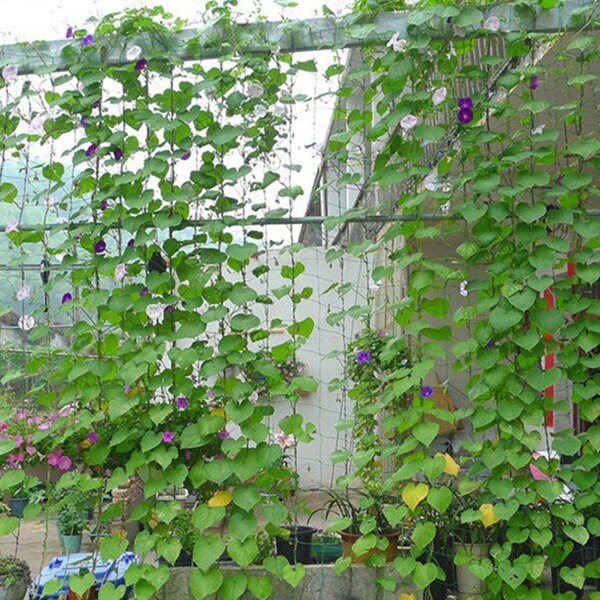 Red de enrejado de nailon verde para jardín superior, red de soporte para plantas trepadoras, cerca de cultivo
