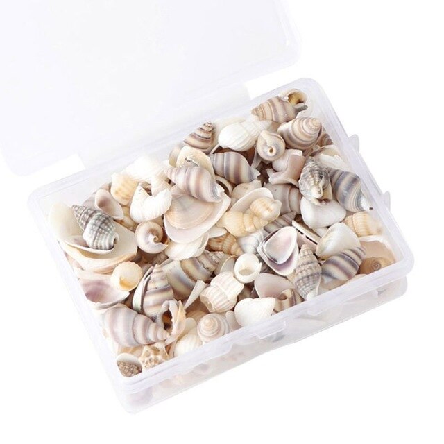 100 PCS Boxed Natural Conch Shells Mini Conch Corn Screw Wall Decoration DIY Aquarium Landscape Seashells Jewelry DIY Craft