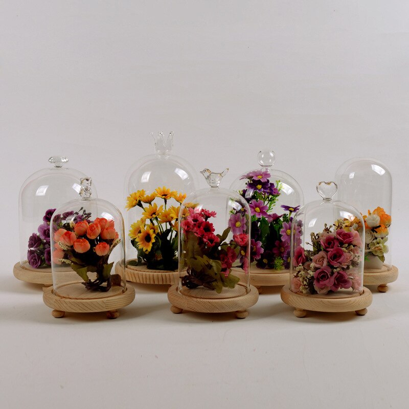 Boligindretning vaser glas blomst display cloche bell jar dome udødelig bevarelse 10 x 12cm
