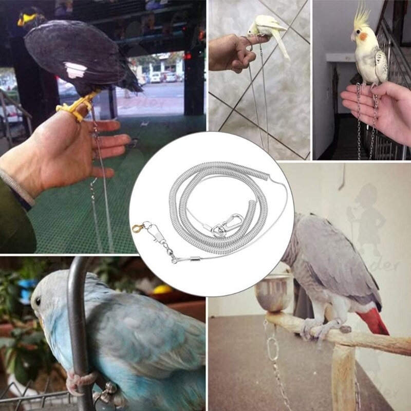 Harnais Anti-morsure oiseau perroquet 6m, entraînement en vol, corde laisse pour c.ckatiels aras, oiseaux étoilés gris africains