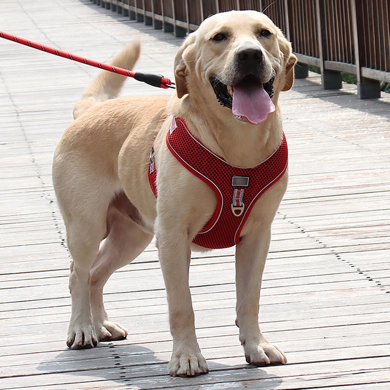 Large Dogs Harness Vest Breathable No Pull Dog Training Harness Adjustable Reflective Pet Harnesses For Pitbull Labrador Collars