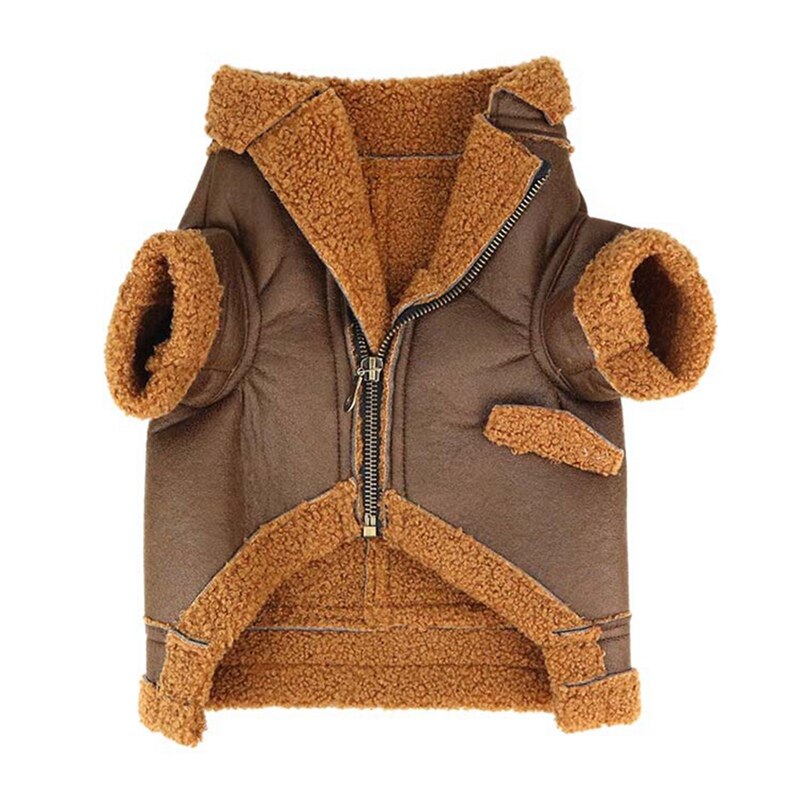 Vêtements pour animaux de compagnie en cuir | En cuir rétro, pour chiens, manteau, vêtements Cool comme un garçon Cool pour petits chiens, Teddy français: C / M