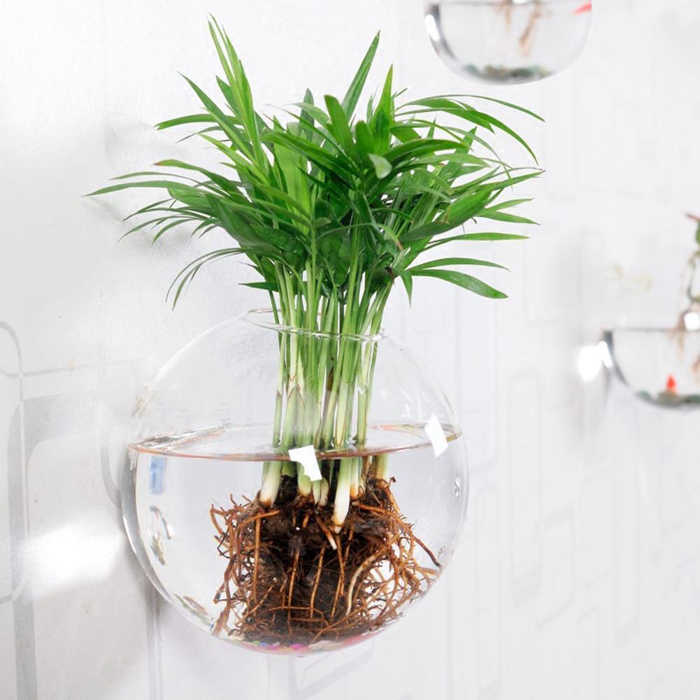 Vase mural suspendu en verre pour plantes hydroponiques, Terrarium, Pots de fleurs, Vases de jardin, maison, récipient pour poissons, Pl H9t6
