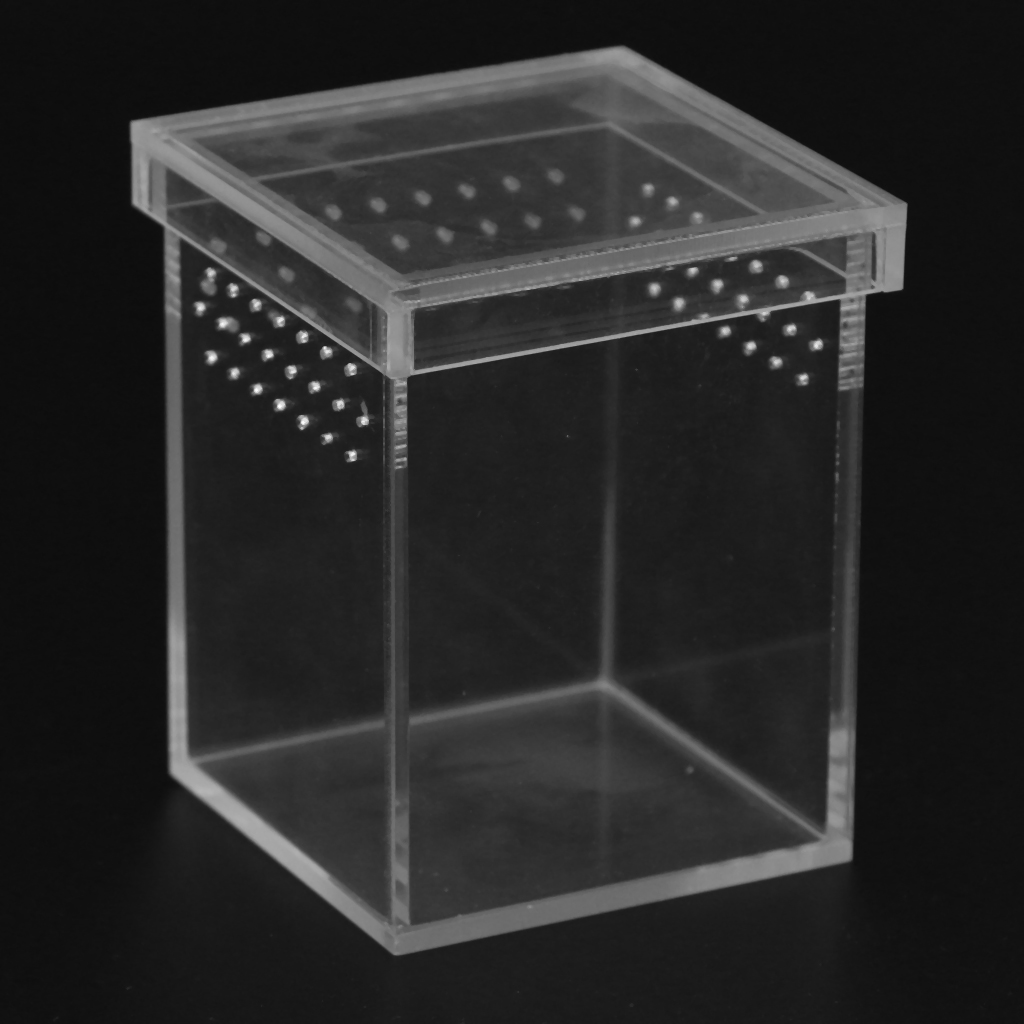 Reptile Acrylic Cage Breeding Habitat Lizard Snake Amphibian Frog Spider Box