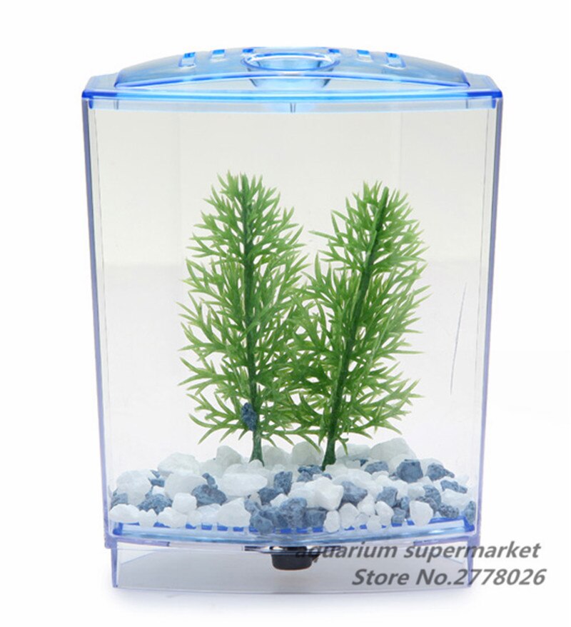 HONGYI-boîte d'élevage Guppy bébé | Poisson, séparation nœud de poisson, Aquarium, petite boîte d'élevage