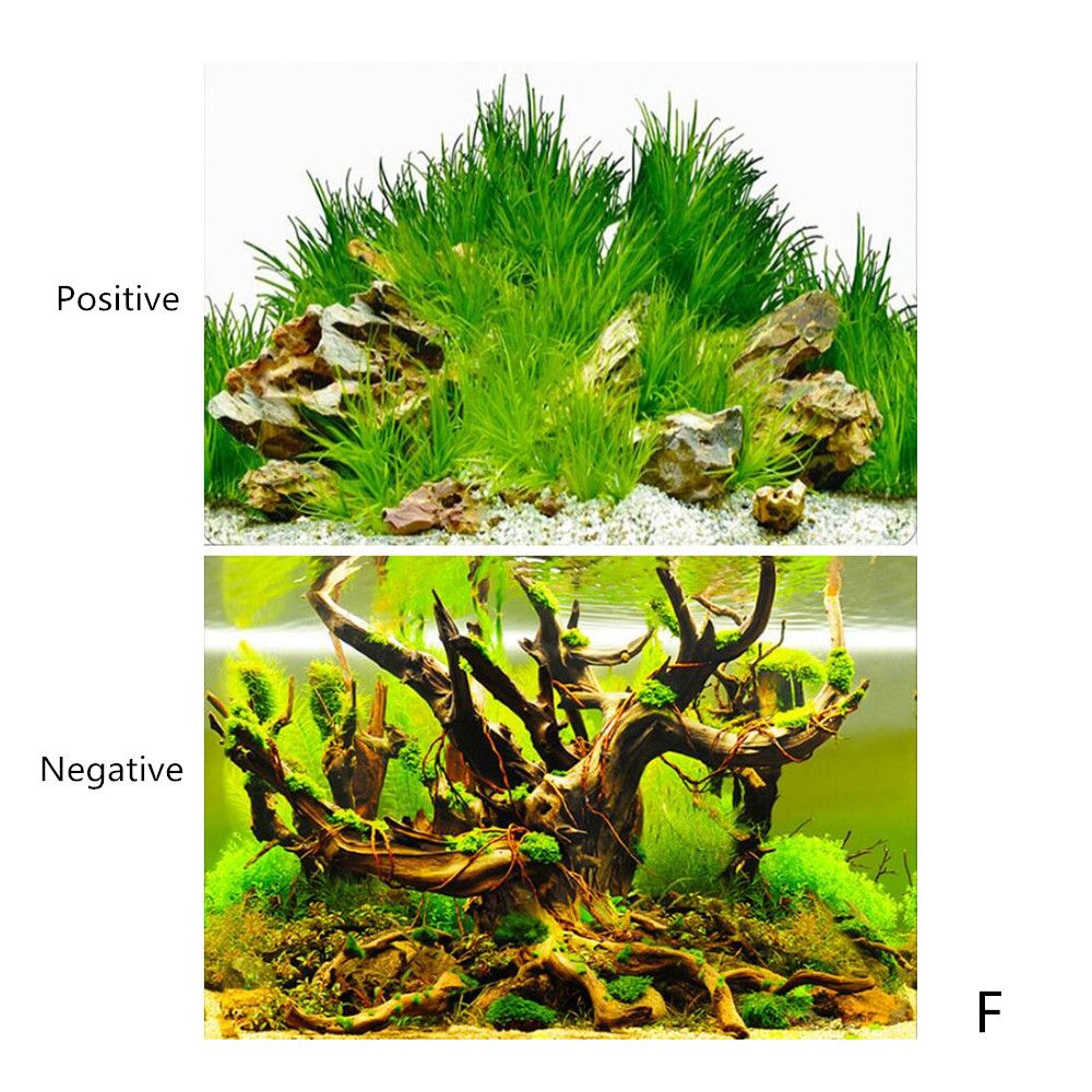 3D Aquarium Sticker Landscape Poster Fish Tank Background Painting Sticker Double-sided Ocean Sea Plants Backdrop Aquarium Decor: F