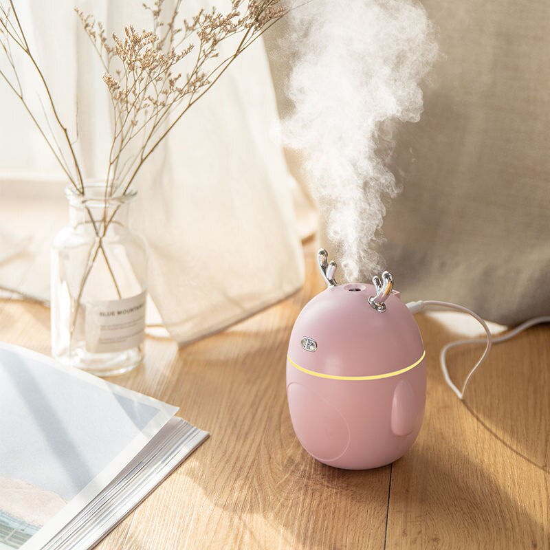 Car Air Purifier Eliminate Static Electricity Clean Air Care for Skin Nano Spray Technology Mute Aroma Diffuser