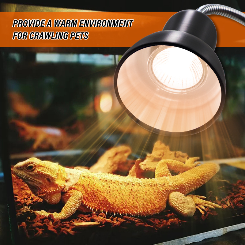 impostato portalampada per rettili UVA + UVB 3.0 con termometro a clip, igrometro, lucertola, tartaruga, tartarugatura, lampadina riscaldante 220V