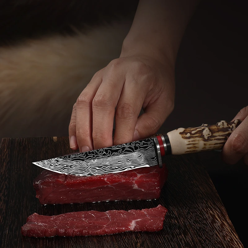 Cuchillo para cortar carne de acero damasco, cuchillo de cocina multifuncional de estilo primitivo, cuchillo afilado para deshuesar para carne, fruta y más
