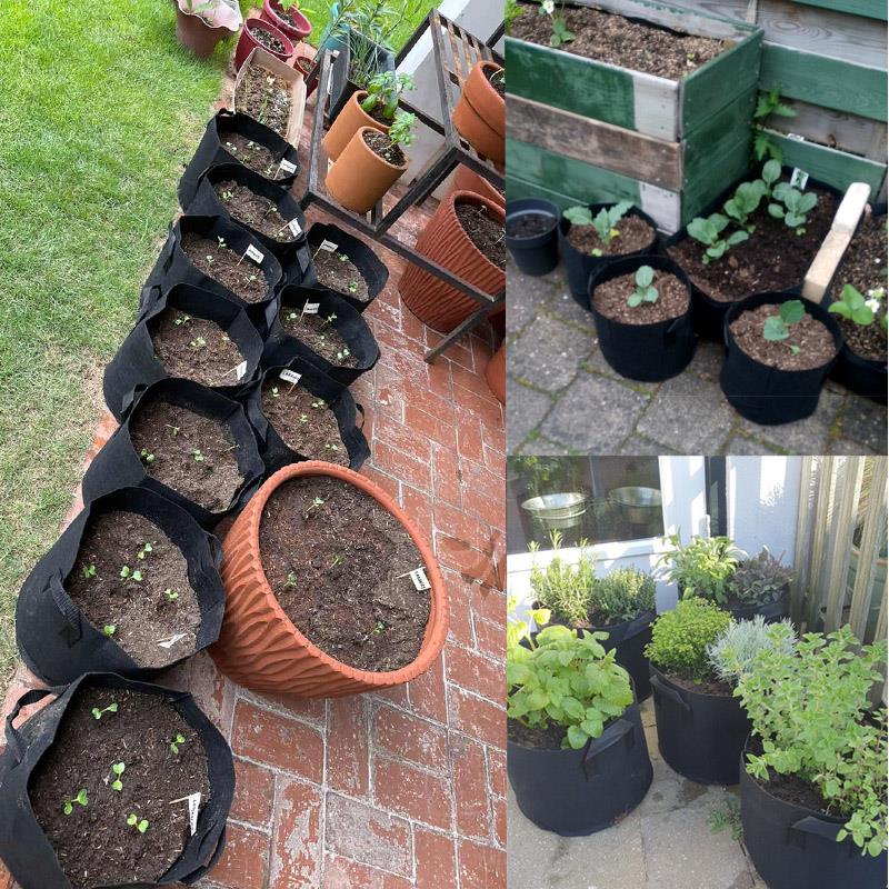 1 2 3 Gallon Plant Grow Bags Planter Pots Non-Woven Fabric Nursery Flower Pots Tree Planting Growth Bag m20
