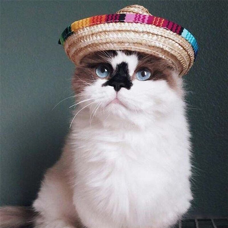 Mexicaanse stro sombrero hoed, verstelbare gesp, veelkleurige strohoed voor honden en katten