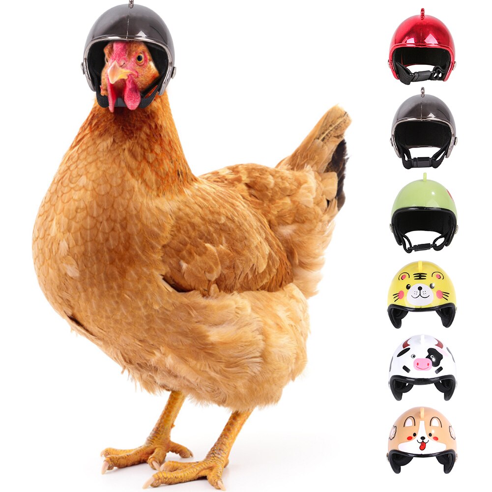 Casque de poulet pour animaux de compagnie petit animal de compagnie volaille oiseau canard couvre-chef chapeaux tête protecteur oiseau tête casque fournitures pour animaux de compagnie 1 pièces