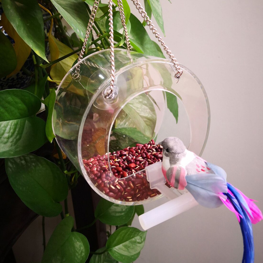 Bird Feeder Acrylic Transparent Window Viewing Bird Feeders Tray Birdhouse Suction Cup Mount House Type Feeder