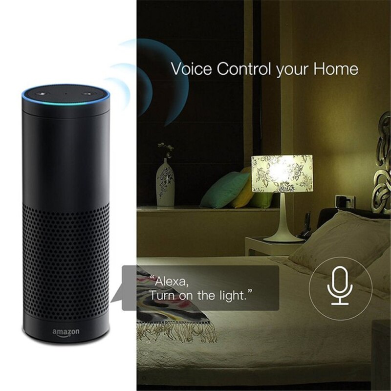 Smart Home Life WiFi Smart Plug Outlet 2 In 1 Tuya Remote Control Home Appliances Works With Alexa Google Home No Hub Required