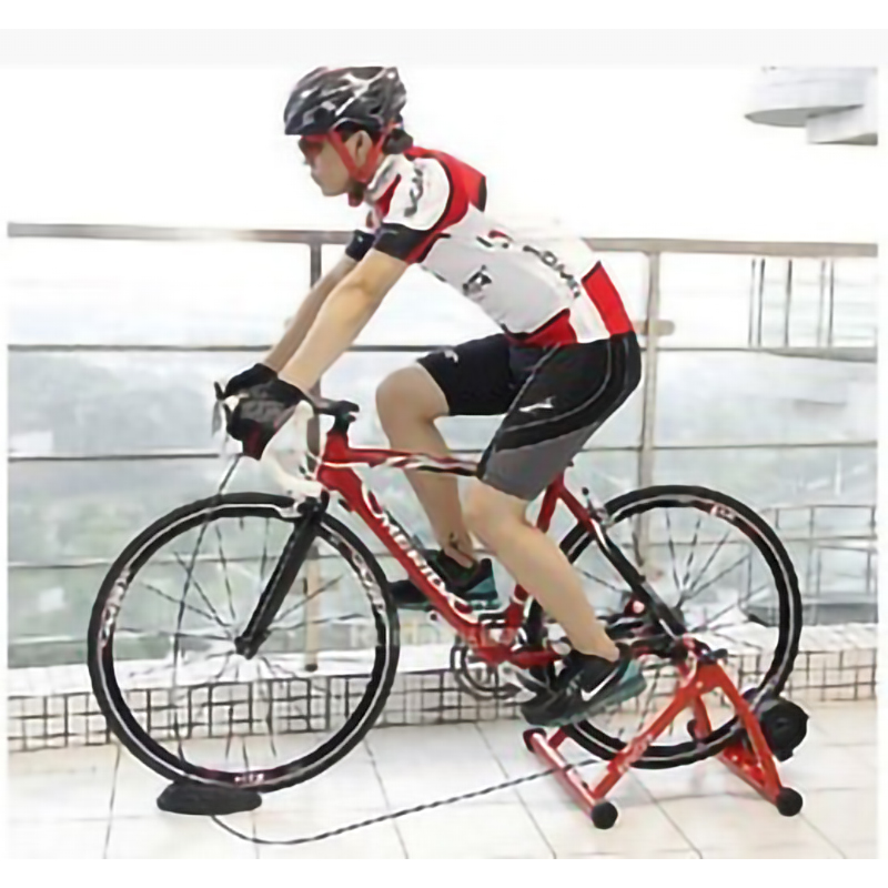 MT-03 Bike Floor Rack Mountain Bike Indoor Training Support Stand Barcket Platform for Cycling Bicycle Riding Exercise Train XJ