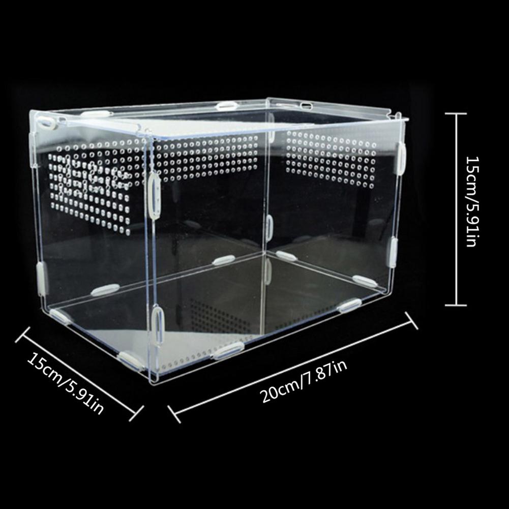 Reptiel Fokkerij Doos Acryl Voerbox Voor Spider Hagedis Kikker Cricket Schildpad Voerbox Reptiel Kooi Uitkomen Container: S