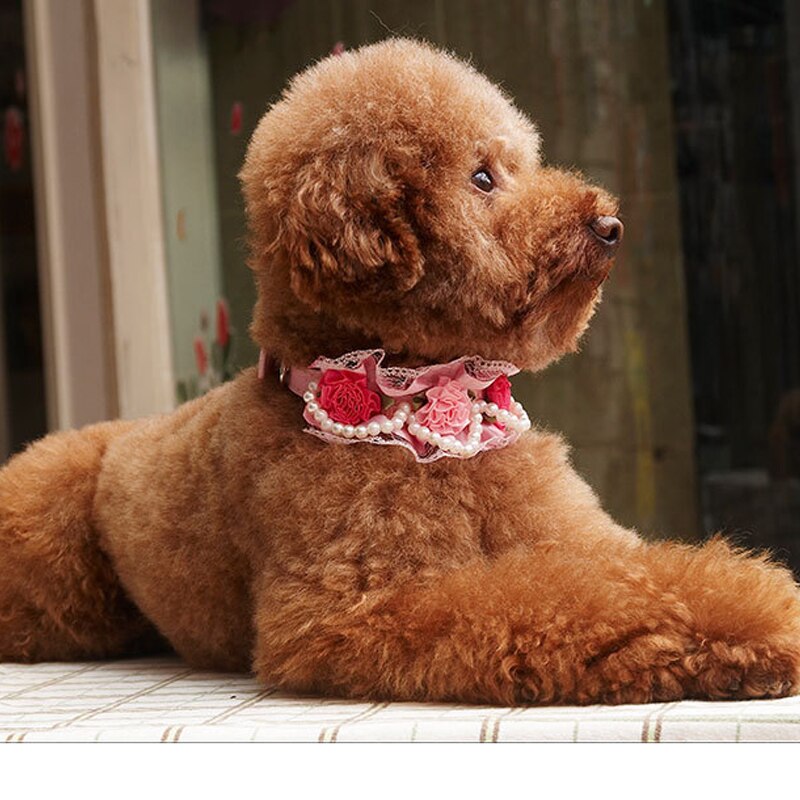 Pets Supplies Lace Pearl Decoration Cute Bichon Frise Teddy Puppy Dog Cat Collars Handmade Flowers For Kitten Pet Accessories