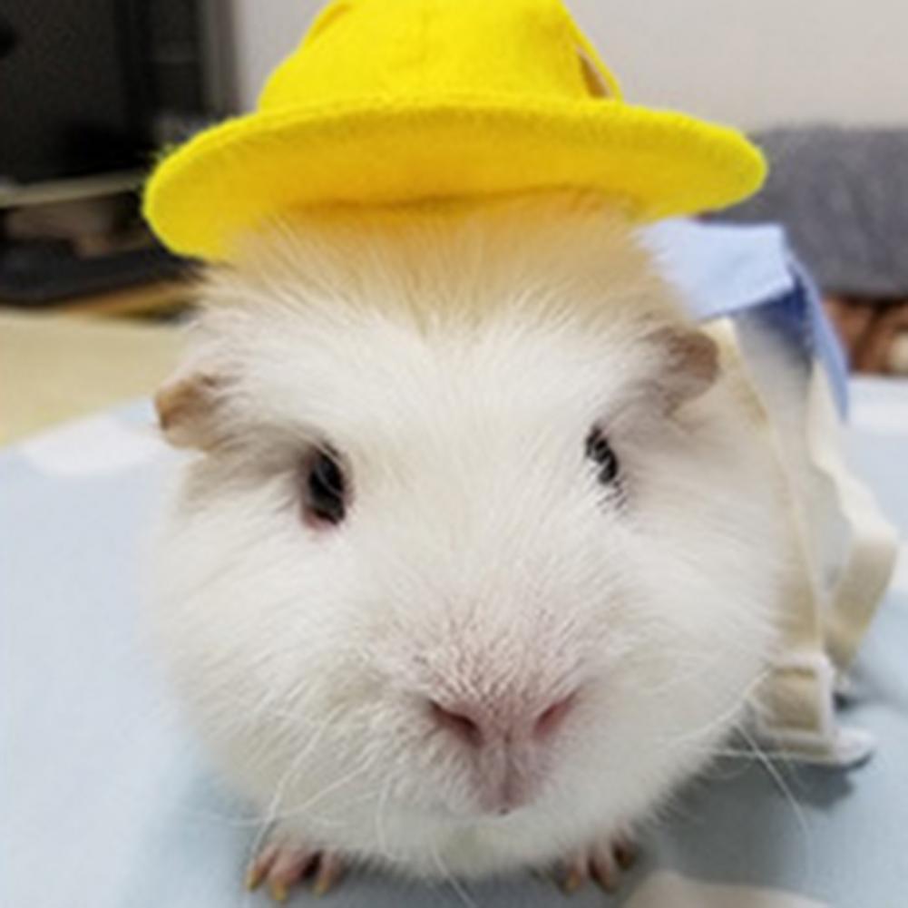 Cavia Hoed Mooie Vorm Huisdier Kostuum Hamster Hoed Jurk Up Bunny Hoed Handgemaakte Kleine Dieren Kostuum Cap