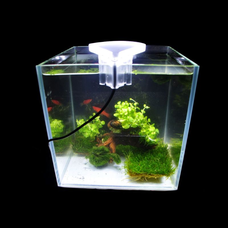 White Aquarium Light EU 100-240V LED Clip-on Fish Tank Aquarium Lighting Bulb Water Aquatic Plant Growth Lamp Accessories