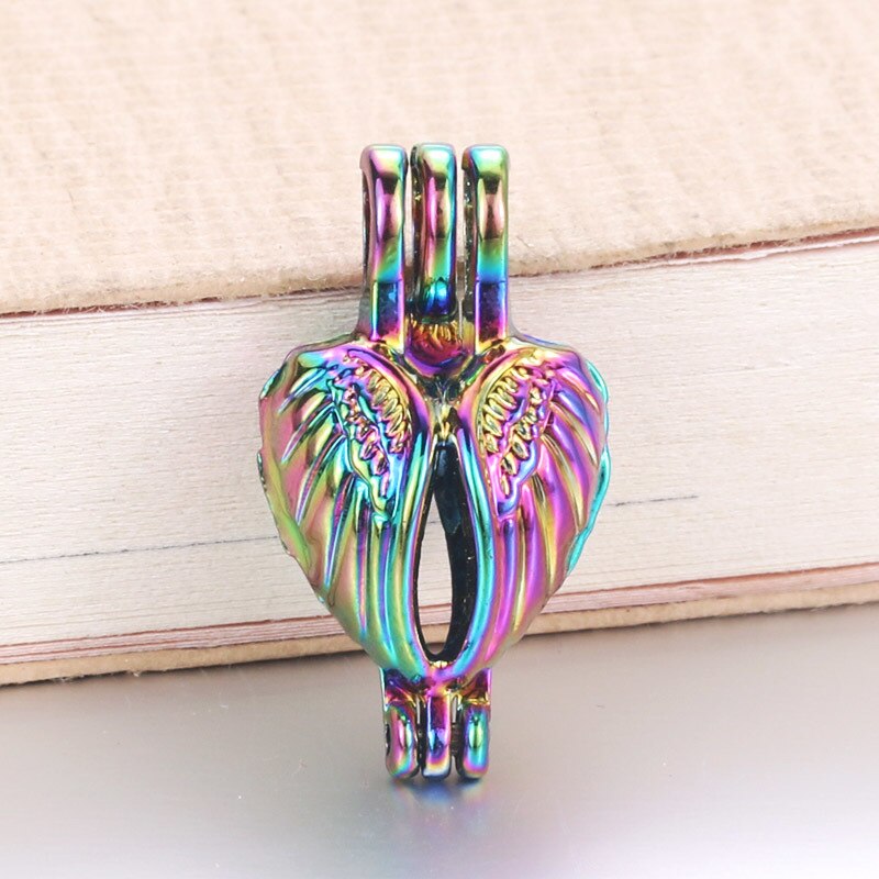 6pcs/lot 16 styles Rainbow Color Pearl Cage Bead Cage Essential Oil Diffuser Locket Pendant DIY Jewelry Making for Oyster Pearl: 040315