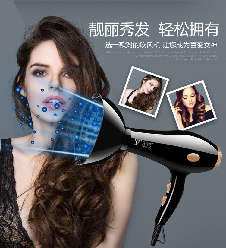 DLY-8033,Hair Dryer Household Appliances High Power Hair Dryer Blueray a Generation of Fat