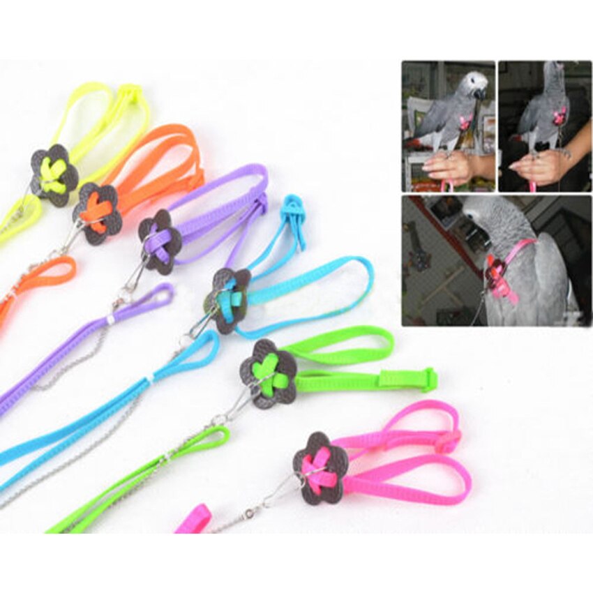Arnés de pájaro para loro ajustable de 1,2 M, Correa Multicolor ligera suave de