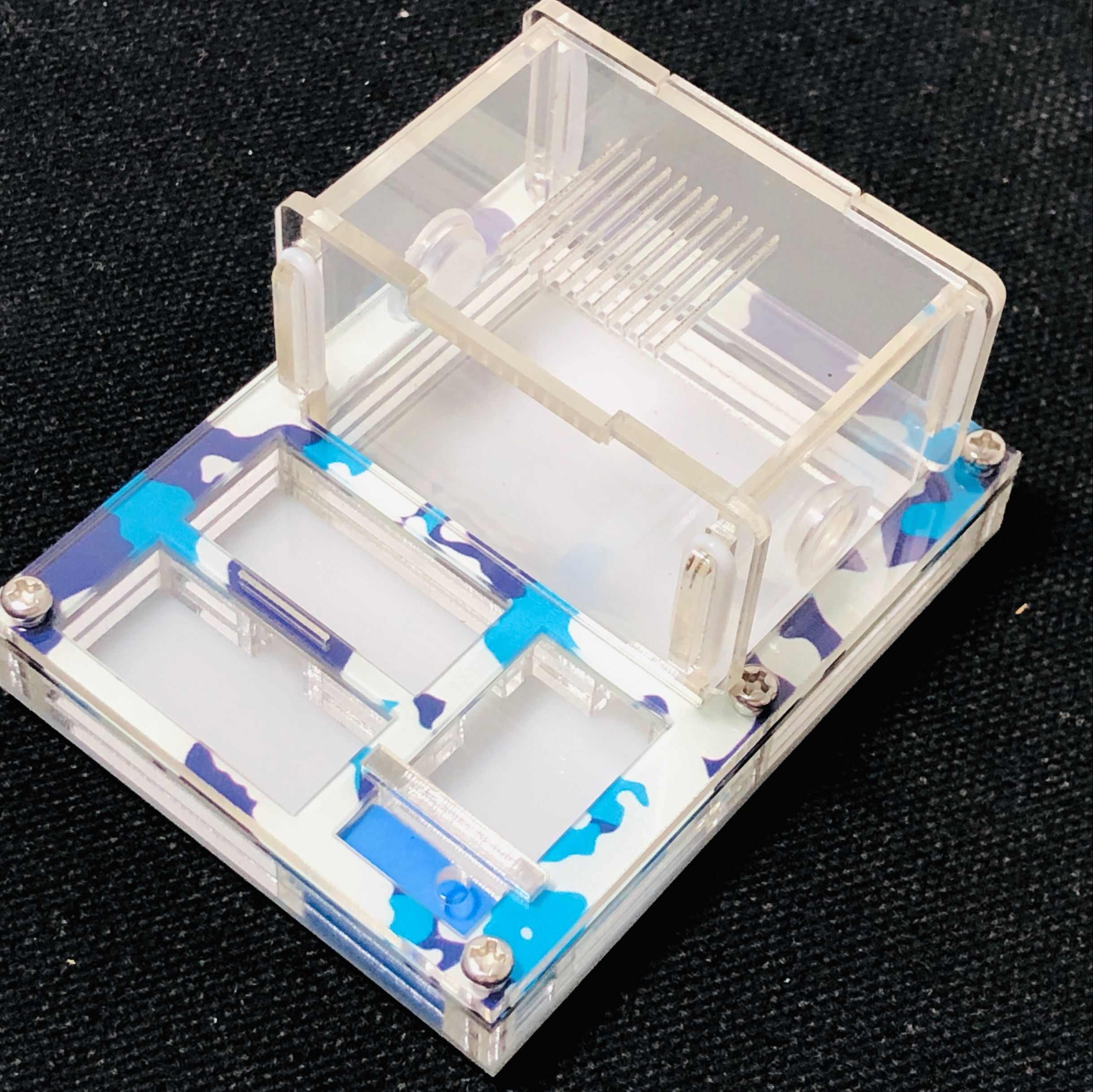 MINI DIY Acrylic Flat Ant Farm Ant Nest with Feeding Area Ant House for Queen Ant laying eggs Anthill with Moisturizing zone: winter