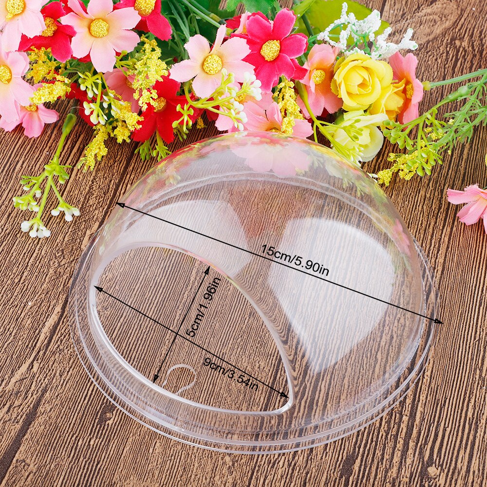 Hanging Fish Tank Home Decoration Acrylic Aquatic Plant Vase Pet Supplies Transparent Wall Mounted Fish Tank