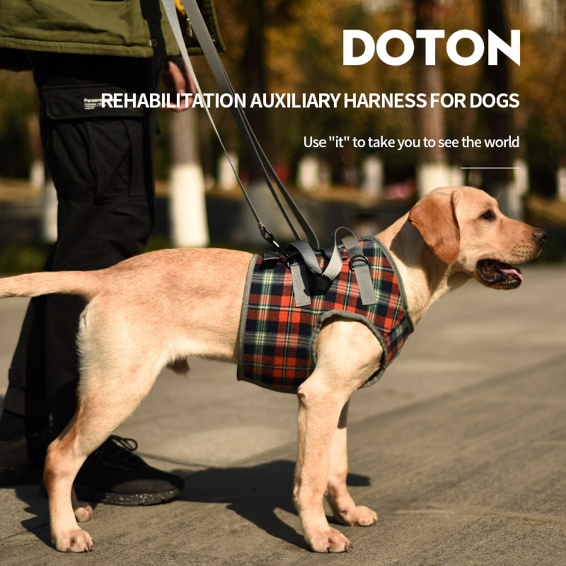 Einstellbare Hund Unterstützung Weste Harness für Zurück Beine für Medium Large Hund Alte Behinderte Joint Verletzungen Arthritis Lähmung Hunde Spaziergang